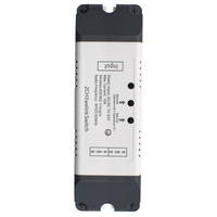 F0903 Compatible avec Google Home EWeLink WiFi 2 canaux 7-32V Relais Automatisation de la maison intelligente Interrupteur moteur WiFi RF 433,92 MHz