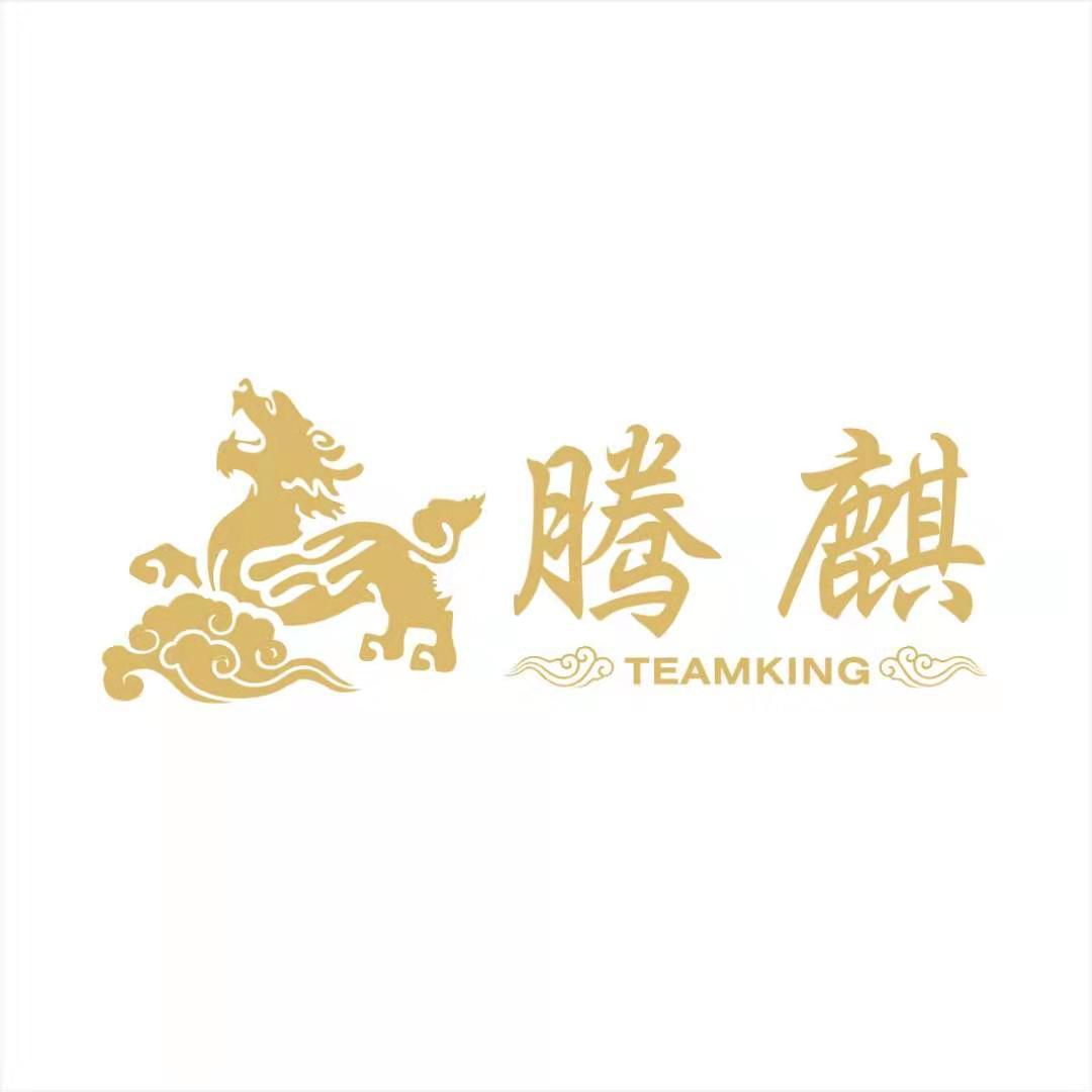 Wuxi Teamking International Trade Co., Ltd. logo