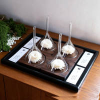 Testeur d'huiles essentielles parfumées, dispositif d'affichage en forme de fleurs avec entonnoir et base en bois pour flacons de parfum