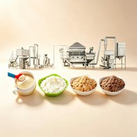 Ligne de production de céréales pour bébés avec 28 brevets techniques, approuvée CE, produit des aliments pour bébés de 6 mois et plus