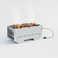 Barbecues tendance en acier inoxydable, grilles à charbon et à gaz, planchas pour barbecue, accessoires