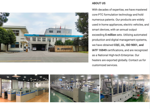 גוף חימום צינורי PTC תעשייתי 600W 220VAC נירוסטה SS304 לחימום מקפיא חשמלי - Product Image 5