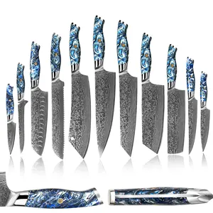 Conjunto de facas de cozinha profissional âmbar 67 camadas VG10 Damasco, conjunto de facas de cozinha utilitárias para chef de cozinha, conjunto de facas de frutas com cabo de resina azul