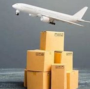 Ấn Độ đến Nam Phi xuất khẩu & nhập khẩu không khí + dịch vụ chuyển phát nhanh vận chuyển an <span class=keywords><strong>to</strong></span>àn cho tất cả các sản phẩm giá cả cạnh tranh - Product Image 3
