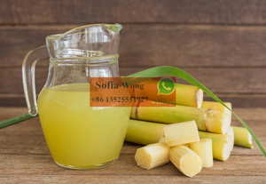 Tốt nhất bán mía Máy ép trái cây 500 kg/giờ mía vắt nước trái cây máy mía Mill - Product Image 3