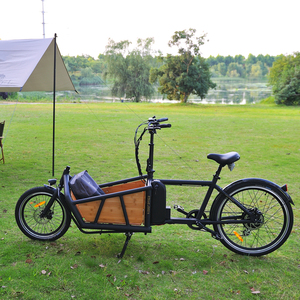 Vélo familial à 2 roues avec moteur 48V 500W, chargement frontal pour transporter des enfants, vélo électrique de ville, frein à disque, super capacité de charge - Product Image 1