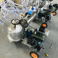 Machine à traire les vaches et les chèvres de qualité supérieure, fiable et à fonctionnement stable, pour les petites exploitations commerciales et les coopératives laitières