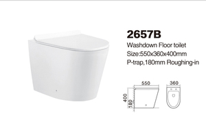 Moderno serbatoio nascosto lavabile a pavimento wc UF coprisedile fabbrica diretto buon prezzo per Hotel progetti bagni - Product Image 2