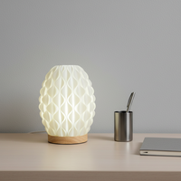 Lampe en plastique imprimée en 3D, conçue par l'IA, ignifuge, écologique, motif géométrique, design minimaliste, pour bureaux et études