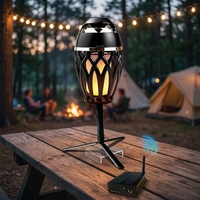 Haut-parleur portable professionnel sans fil 2,4 G avec transmetteur pour fêtes, camping, danse de rue, sport – Mini enceintes portables