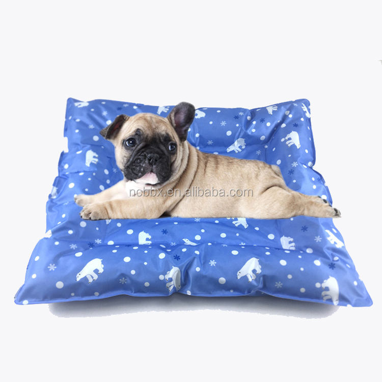 หมีขั้วโลก