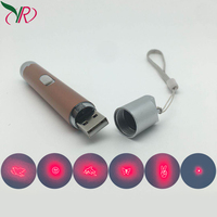 고양이 3in1 레이저 포인터 USB 충전식 LED 손전등 장난감