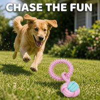 Jouet à mâcher pour chien en coton texturé, corde à tirer, anneau noué, jouet interactif pour animaux de compagnie pour jouer à l'intérieur et à l'extérieur