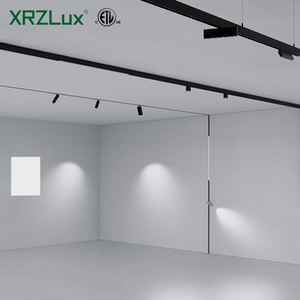 XRZLux ضوء المسار المغناطيسي الحديث داخلي أدى الأضواء الشوكية شبكة COB DC48V إضاءة السقف المغناطيس ضوء المسار بقعة - Product Image 1