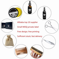 Vente chaude Hommes Cadeaux Ensemble Brosse Mode Style Ensemble Barbe Soins Derma Rouleau Croissance Kits Huiles Baume Sérum Barbe Kit De Croissance