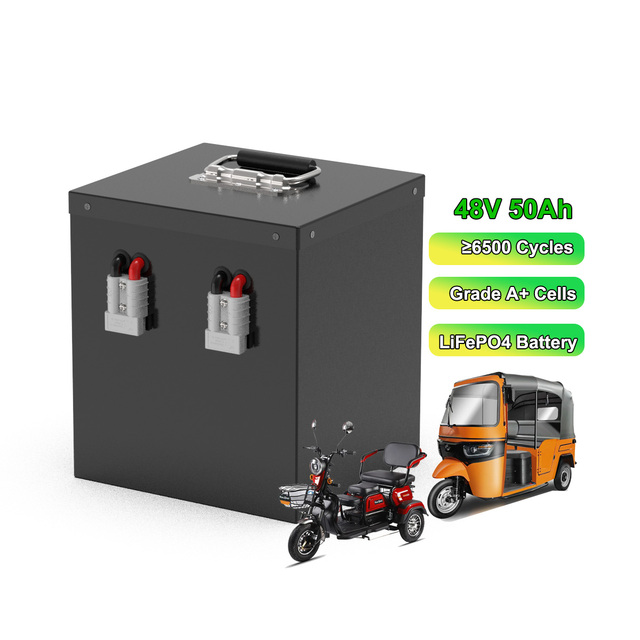 Factory Price Deep Cycle 48V 25Ah Lithium Ion LifePO4 48V 50Ah 100Ah Battery for Golf Cart/e-rickshaw/electric Scooter/e-bike
