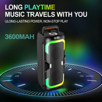Système de sonorisation extérieur double 4 pouces 30W pour karaoké 5.4 avec lumières LED RGB, micro intégré, caisson de basses Party Box 3000-5000mAh