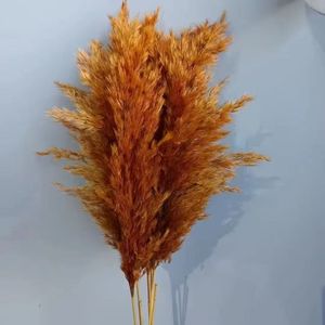 Hierba de pampas pequeña de colores de alta calidad al por mayor para decoraciones de bodas y materiales florales de floristería - Product Image 1