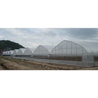 Serre agricole IGreen pour l'agriculture des tomates, serre intelligente agricole à Tunnel élevé