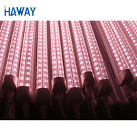 Usine-fabriqué a mené la lumière de tube de croissance standard peut être personnalisé 40w smd2835 t8 intégré led croissance lumière