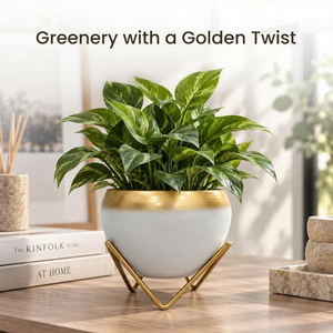 Jardinières de luxe modernes avec support doré, pot de fleurs rond en céramique blanche pour plantes vertes d'intérieur - Product Image 3