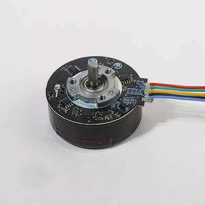 Bl5520 24V 50 Wát <span class=keywords><strong>rotor</strong></span> bên ngoài động cơ không chổi than - Product Image 2