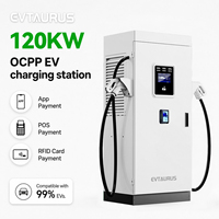 Estación de Carga para Vehículos Eléctricos de 120KW CC, Certificación CE, GBT CCS2 CHADEMO Opcional, OCPP1.6J, RFID, APP, Tarjeta de Crédito, Montaje en Suelo, Nueva, IP54