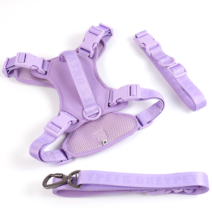 <span class=keywords><strong>Harness</strong></span> Anjing Sport Desainer Baru Warna Kustom, Tali dan <span class=keywords><strong>Harness</strong></span> Anjing Nylon Sederhana Berbahan Jaring Lembut dan Bernapas - Product Image 6