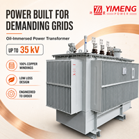 Transformateur abaisseur triphasé immergé dans l'huile 11 kV 60 Hz pour projets industriels