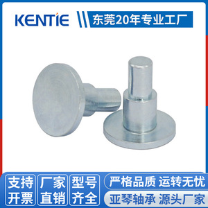 Vente en gros d'usine 5*15*16.3mm Rivets galvanisés en fer écologiques usinés sur tour CNC, pièces de quincaillerie électrolytiques pour goupilles - Product Image 5