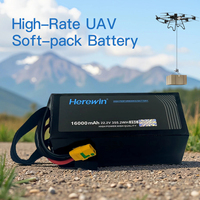 Herewin 6S 12S 14S 18S 16000MAH 22000MAH Lipo lityum iyon batarya şarj edilebilir tarım ve kaldırma Drone pili