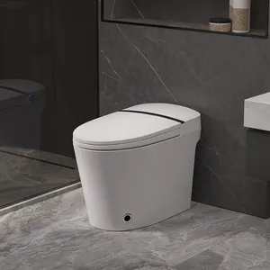 HLLI Hot Sale Smart Toilet Electric Intelligent Automatic Wc Seat Cover Bidet Smart Toilet