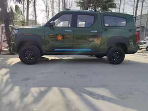 NE Big Electric Pickup <b>Truck</b> with Four-Wheel Lithium Battery (30kWh) 100km Range 50kW Motor Power Families Cargo Durable - Product Image 2