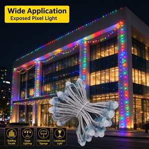 ไฟพิกเซล DMX512 สีสันสดใส DC 12V SMT โมดูล LED สว่างมาก มุมกว้าง กันน้ำ สำหรับงานโฆษณากลางแจ้ง - Product Image 3