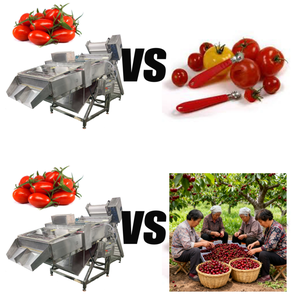 Despulpadora de Cerezas Comercial de Alta Calidad, Máquina para Quitar Tallos de Cerezas con Alta Calidad - Product Image 6