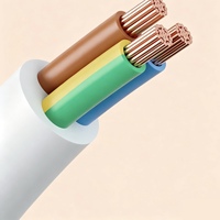 Multiprise électrique européenne à 3 prises