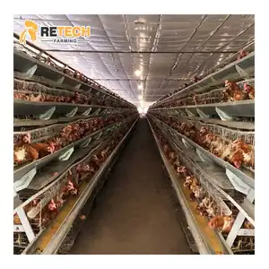 For Guinea 4 Tiers Chicken Egg Layer Battery Cage Poultry Farm Equipement Automatic Battery Cages
