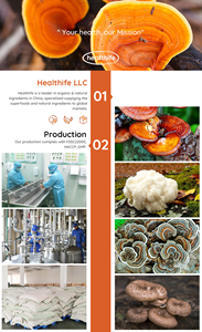 Extracto de Hongo Chaga (Fuscoporia Obliqua/Inonotus Obliquus) en Polvo, 40% Beta Glucano - Product Image 5