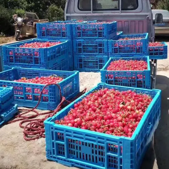 Caixa de plástico dobrável para armazenamento de frutas e vegetais, caixa de plástico com tampas, caixa de plástico para transporte