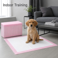 Almohadillas de Entrenamiento para Perros, Desechables, de Secado Rápido, Impermeables IPX7, Ecológicas, de 6 Capas, Suaves, No Tejidas, para Perras, Directo de Fábrica