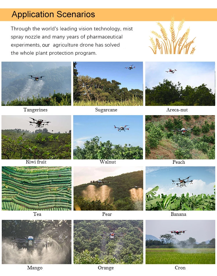 Bang Win BW-TG 10L/20L/30L/40L Agriculture Drone, Tangerines Sugarcane Areca-nut Hiwi fruit Walnut Peach Tea