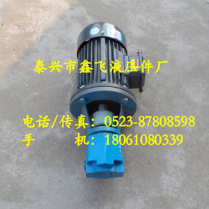 Conjunto de Motor de Bomba de Aceite de Engranajes Cicloides Verticales y Horizontales BB-B16JZ BB-B20JZ BB-B25JZ B32JZ, Bombas Hidráulicas - Product Image 1