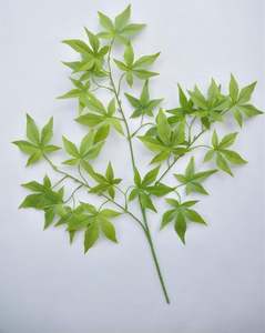 EG-J288 diskon besar cabang tunggal buatan Kanada Maple rumput hijau dalam ruangan dekoratif tanaman cabang tunggal - Product Image 6