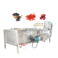 China fabrieks prijs fruit- en groentewasmachine, 304 roestvrij staal, bubbelwasmachine