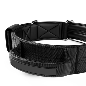 Gran oferta acolchado ajustable doble Pin perro deportivo al aire libre caminar correr senderismo actividades <span class=keywords><strong>Collar</strong></span> de nailon con asa - Product Image 3