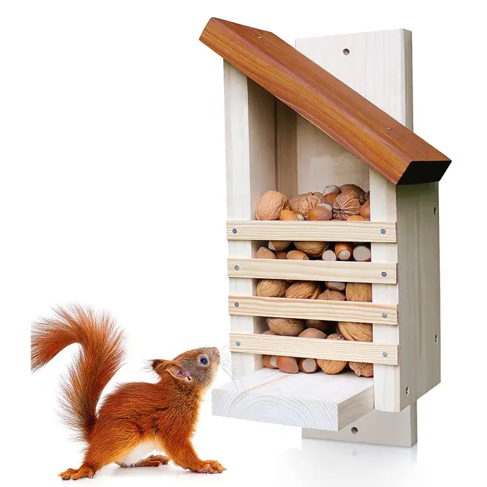 Squirrel Feeder Without Sharp Glass and Neck Break Flap