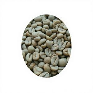 Café Vert Arabica Spécial du Vietnam 100% Naturel Haute Qualité Grade G1/G2 Noir Brisure 0,1% Exportation Directe Usine - Product Image 1