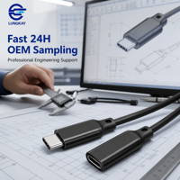 Câble d'extension USB 3.2 Type C LUNG KAY OEM ODM 20 Gbit/s 100 W PD 4K 60 Hz Mâle-Femelle Industriel