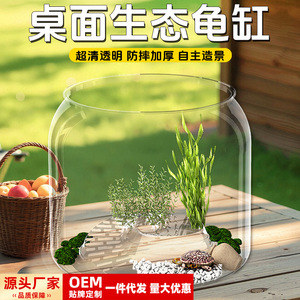 Terrario Ecológico de Escritorio para Tortugas, Transparente, Reforzado, Anti-Impactos, con Plantas y Grava para Decoración del Hogar - Product Image 1