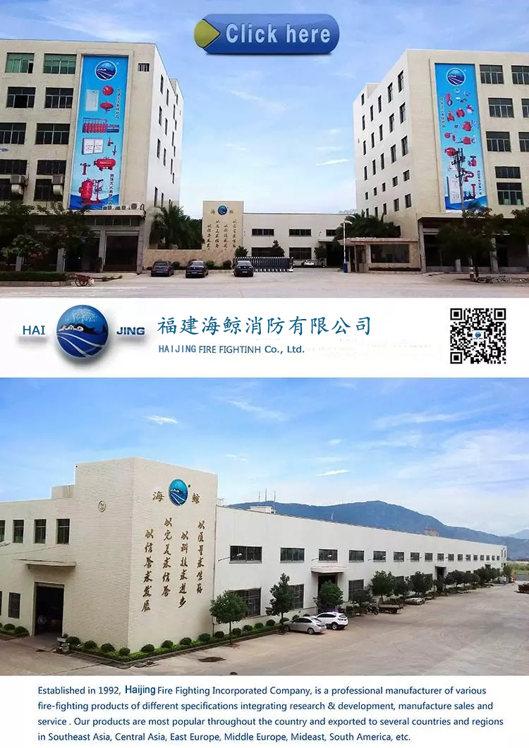 优质球墨铸铁地下水供水系统支柱消火栓带法国适配器